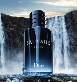 Sauvage Dior Perfume